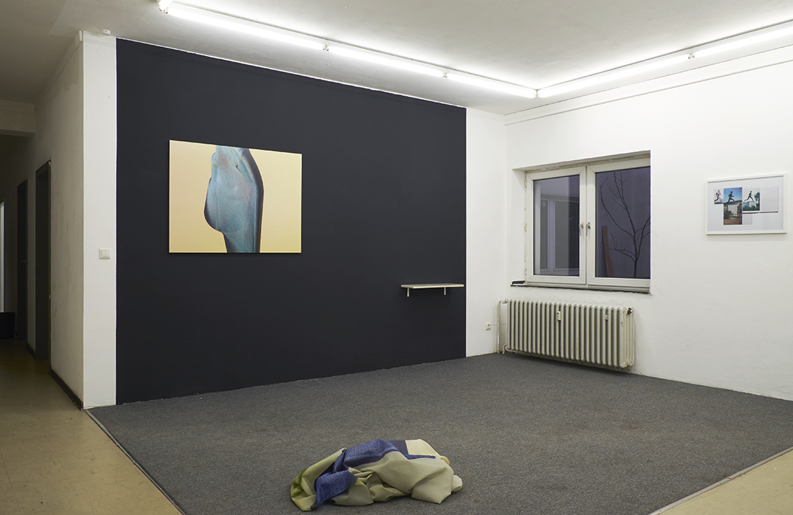 Elizaveta Podgornaia, Ausstellungsansicht (Galerie 52), 2016