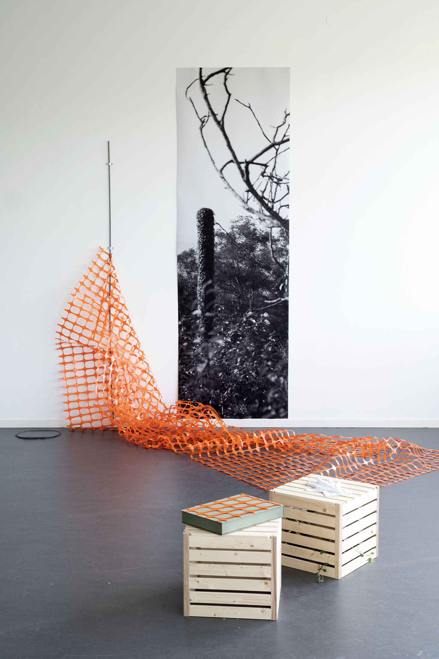 Jasmin Ahmad: Garten 52 (Installationsansicht), 2025