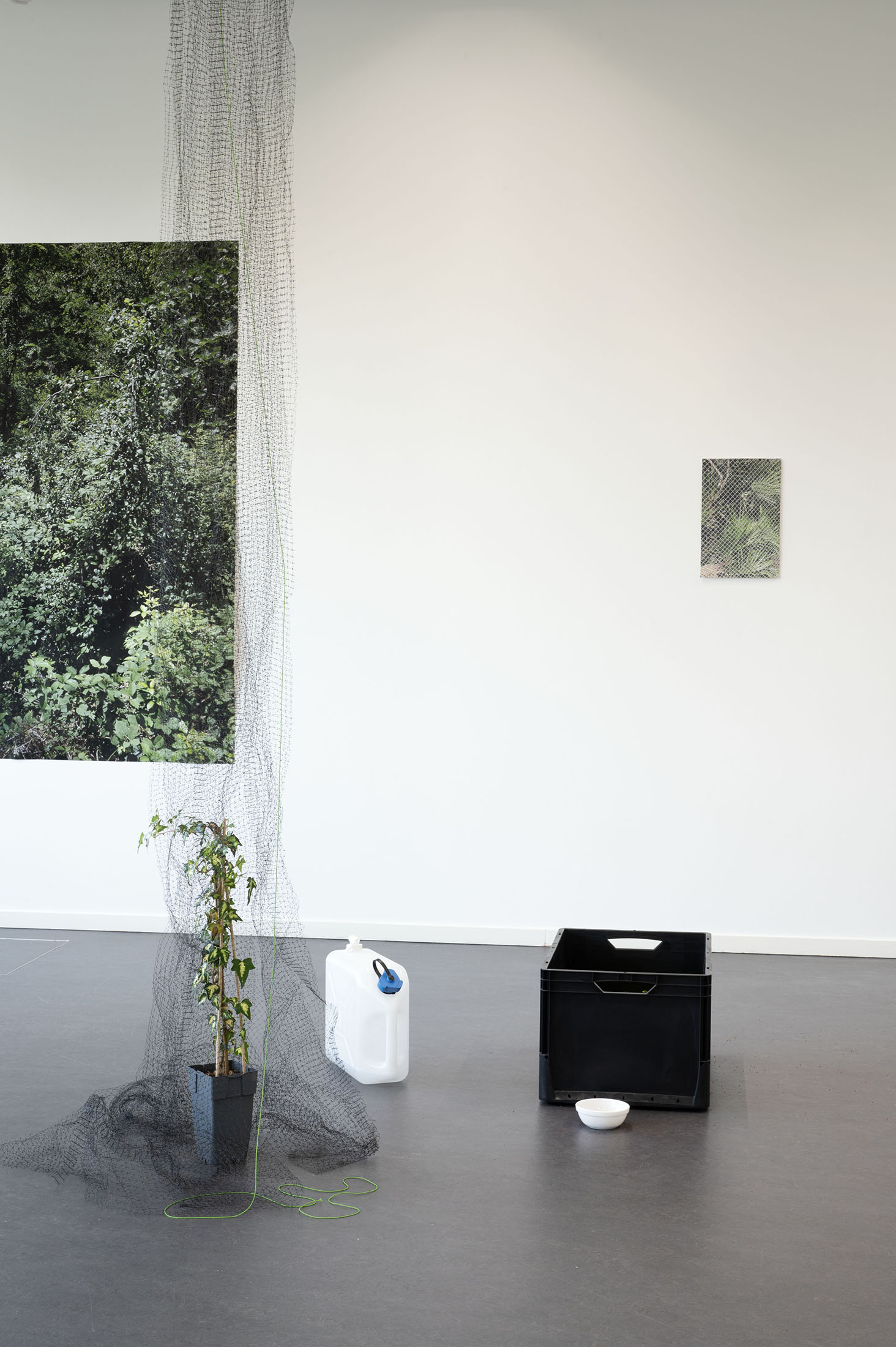 Jasmin Ahmad: Garten 52 (Installationsansicht), 2025