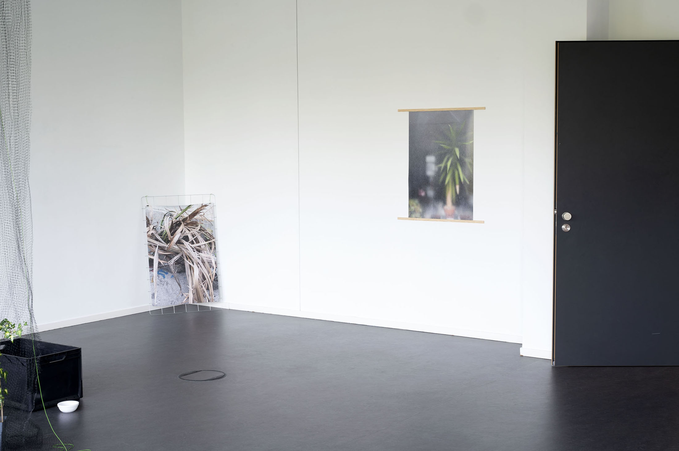 Jasmin Ahmad: Garten 52 (Installationsansicht), 2025