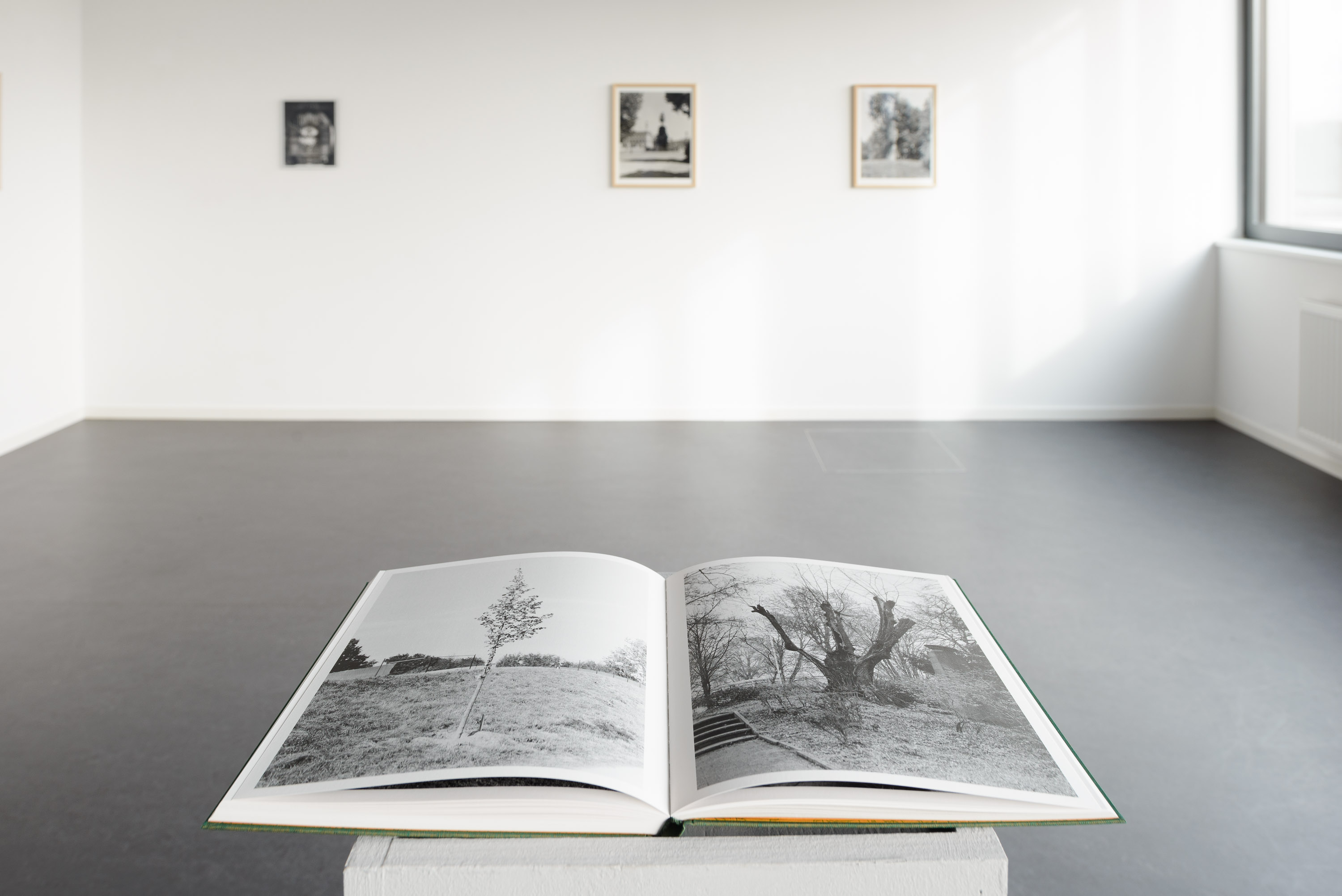 Michael Romstöck: Zur Linde, 2020. Ausstellungsansicht im Quartier Nord.