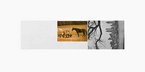 Christopher Muller: Wild Horse II, 2020, 14 × 50 cm, Digital C-Print / gerahmt.