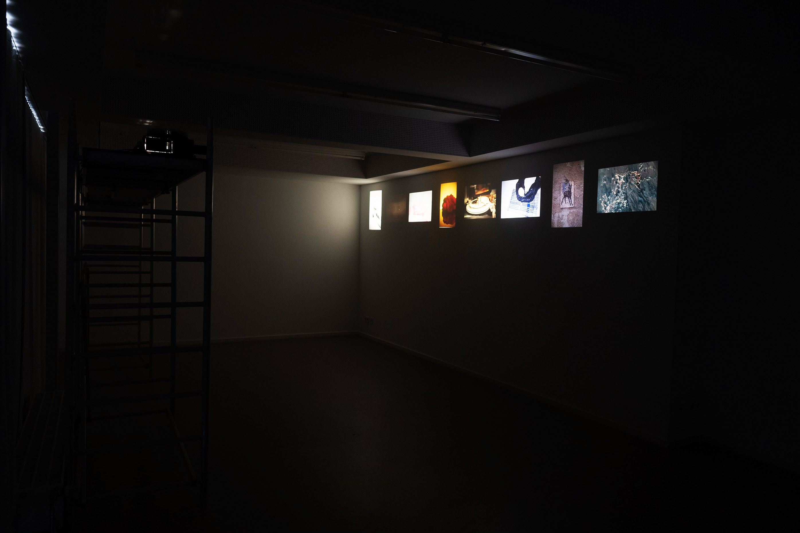 Exhibition view: Alina von Zittwitz